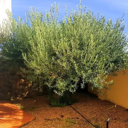 Lägenhet Case Vacanza Lu Bagnu Castelsardo